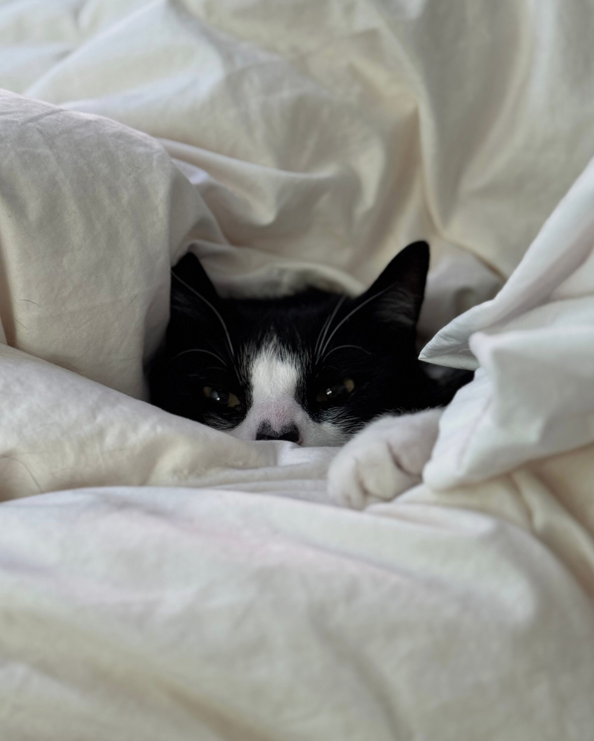 Blog: 12 dingen die je kunt plannen om makkelijker je bed uit te komen